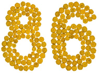 Arapça sayı 86, seksen altı, gelen solucan otu, ISO, sarı çiçek