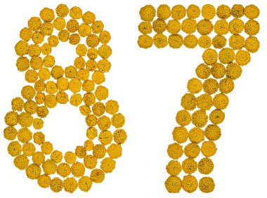 Arapça rakamı 87, solucan otu, sarı çiçekler üzerinden seksen yedi ben