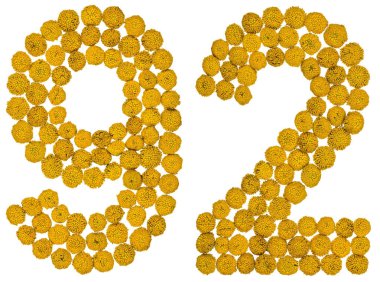 Arapça rakamı 92, solucan otu, ISO, sarı çiçekler üzerinden doksan iki