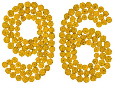 Arapça rakamı 96, solucan otu, ISO, sarı çiçekler üzerinden doksan altı