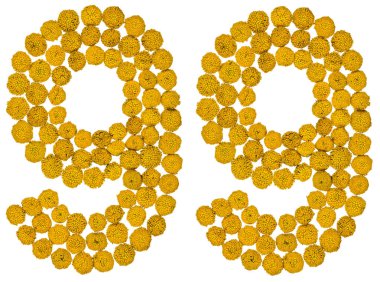 Arapça sayı 99, doksan dokuz, solucan otu, sarı çiçek