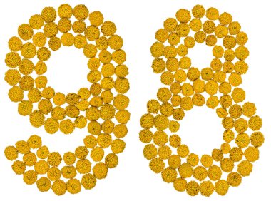 Arapça sayı 98, solucan otu, sarı çiçekler üzerinden doksan sekiz ben