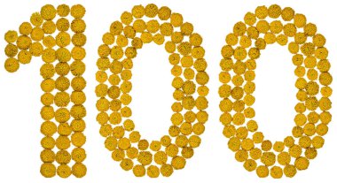 Arapça rakamı 100, 100, solucan otu, sarı çiçekleri gelen ben