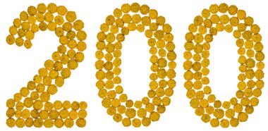 Arapça rakamı 200, solucan otu, sarı çiçekleri gelen iki yüz ben