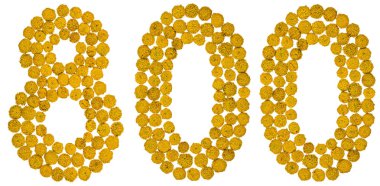 Arapça rakamı 800, sekiz yüz, gelen solucan otu, sarı çiçek,