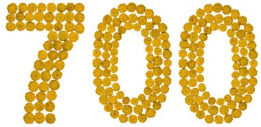 Arapça rakamı 700, yedi yüz, gelen solucan otu, sarı çiçek,