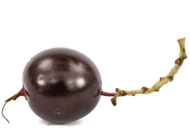 Beyaz arka plan üzerinde izole Siyah frenk üzümü çilek