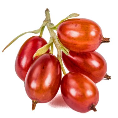 Frenk üzümü çilek beyaz arka plan üzerinde izole