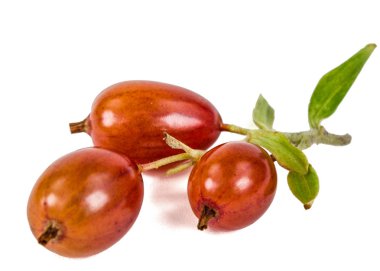 Frenk üzümü çilek beyaz arka plan üzerinde izole