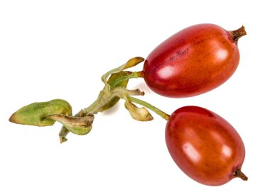 Frenk üzümü çilek beyaz arka plan üzerinde izole