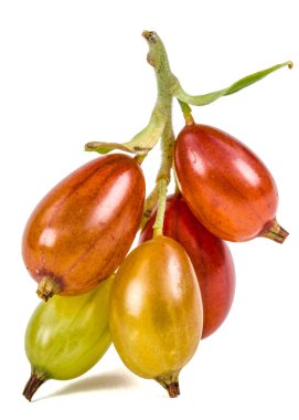 Frenk üzümü çilek beyaz arka plan üzerinde izole