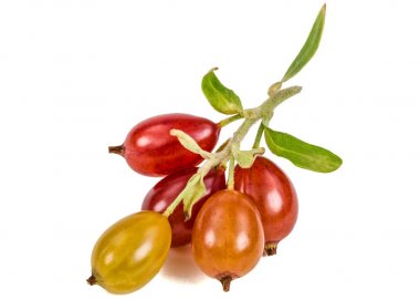 Frenk üzümü çilek beyaz arka plan üzerinde izole