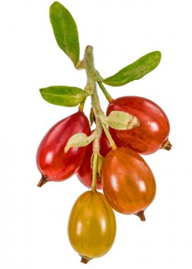 Frenk üzümü çilek beyaz arka plan üzerinde izole