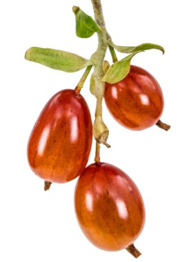 Frenk üzümü çilek beyaz arka plan üzerinde izole