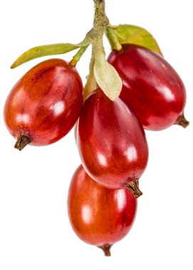 Frenk üzümü çilek beyaz arka plan üzerinde izole