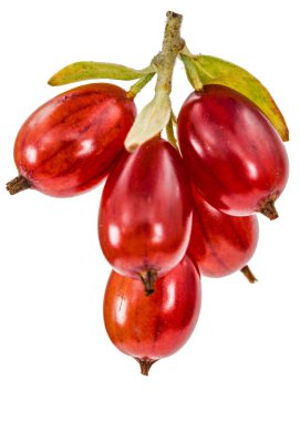 Frenk üzümü çilek beyaz arka plan üzerinde izole