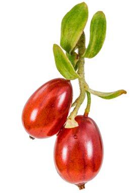 Frenk üzümü çilek beyaz arka plan üzerinde izole