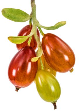 Frenk üzümü çilek beyaz arka plan üzerinde izole