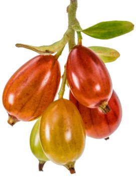 Frenk üzümü çilek beyaz arka plan üzerinde izole