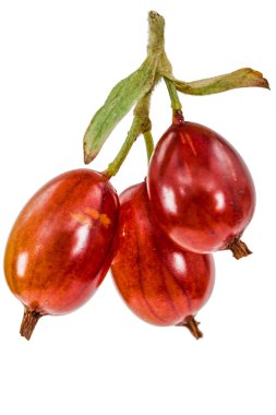 Frenk üzümü çilek beyaz arka plan üzerinde izole