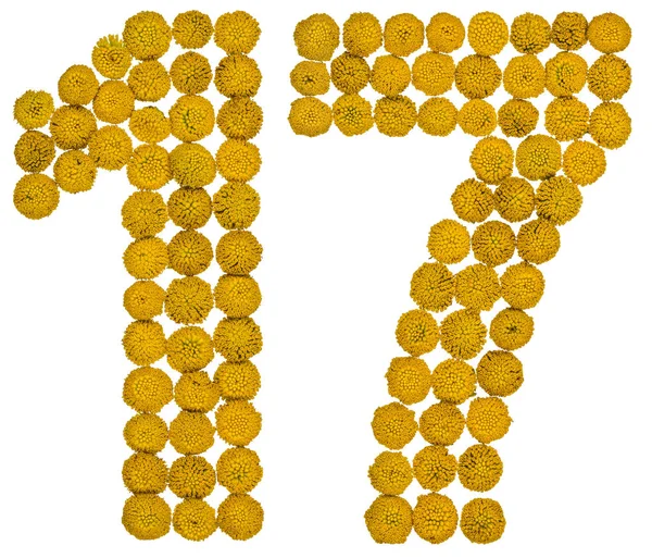 Arabic numeral 17, seventeen, from yellow flowers of tansy, isol — Stock Photo, Image