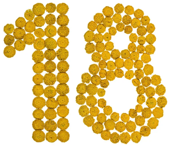 Arabská číslice 18, 18 let, od žluté květy vratiče, isola — Stock fotografie