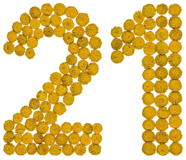 Αραβικό αριθμό 21, είκοσι ένα, από τα κίτρινα άνθη του θηρανθεμίς, iso — Φωτογραφία Αρχείου