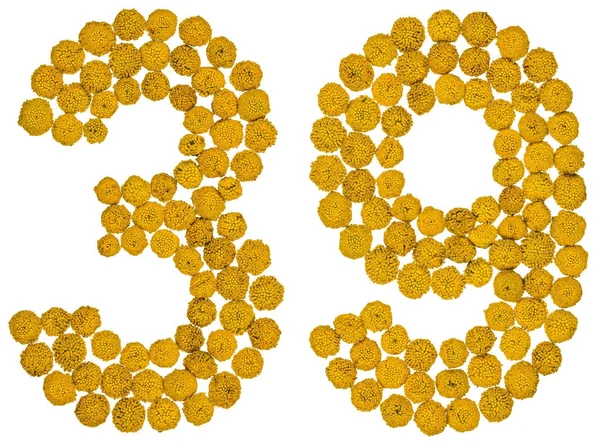 Arabic numeral 39, thirty nine, from yellow flowers of tansy, is — Stock Photo, Image