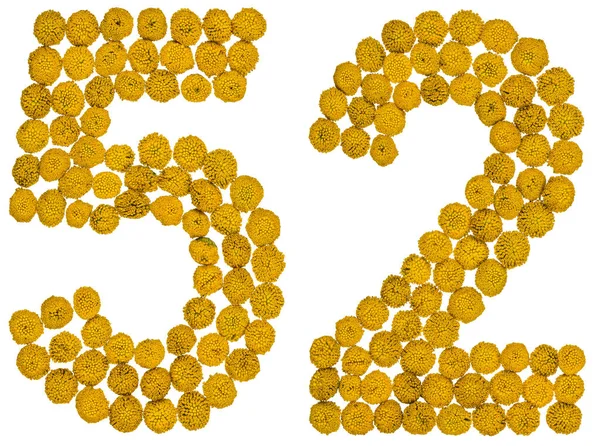 Arabic numeral 52, fifty two, from yellow flowers of tansy, isol — Stock Photo, Image