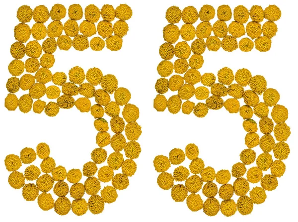 Arapça sayı 55, elli beş, gelen solucan otu, ISO, sarı çiçek