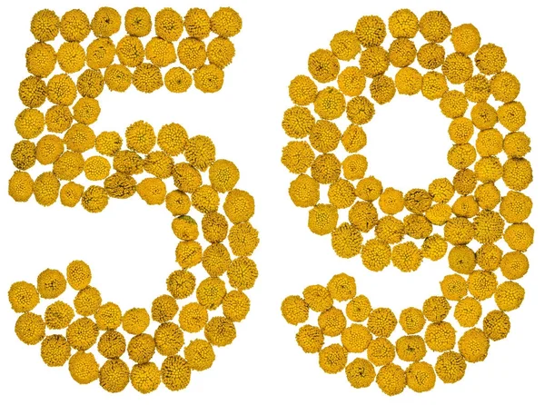 Numeral arábico 59, cinquenta e nove, de flores amarelas de tansy, iso — Fotografia de Stock