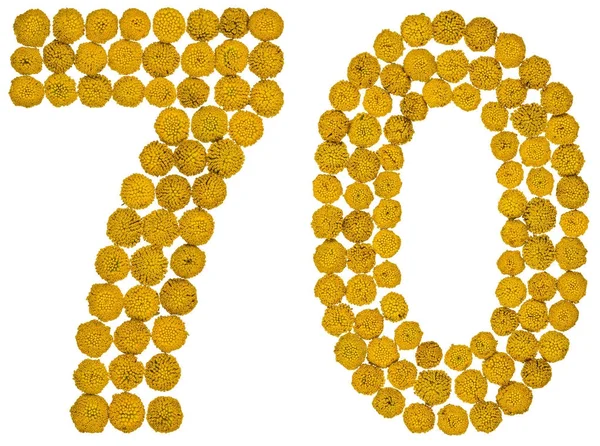 Arabic numeral 70, seventy, from yellow flowers of tansy, isolat — Stock Photo, Image