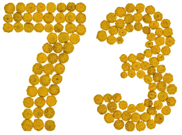 Arabic numeral 73, seventy three, from yellow flowers of tansy, — Stock Photo, Image