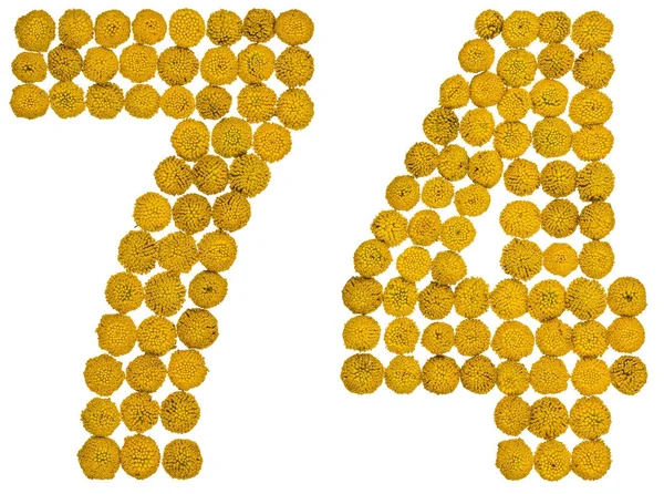 Arapça sayı 74, yetmiş dört, solucan otu, sarı çiçekleri ben