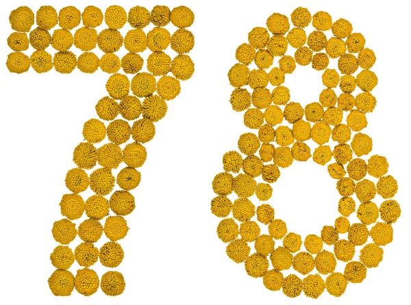Arabiska siffror 78, sjuttio åtta, från gula blommor av renfana, — Stockfoto