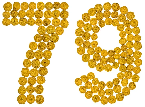 Cyfry arabskie 79, siedemdziesiąt dziewięć, od żółte kwiaty piżmy, ja — Zdjęcie stockowe