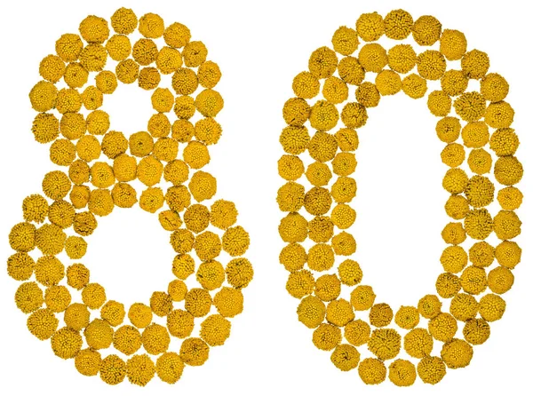 Arabic numeral 80, eighty, from yellow flowers of tansy, isolate — Stock Photo, Image