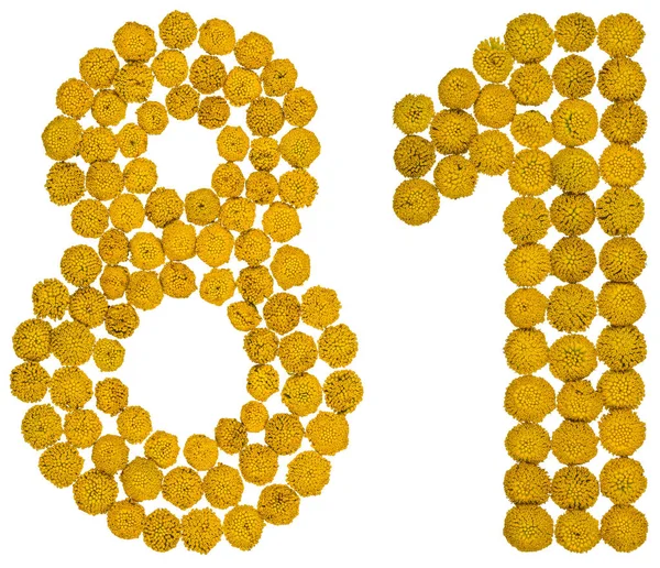 Arabic numeral 81, eighty one, from yellow flowers of tansy, iso — Stock Photo, Image