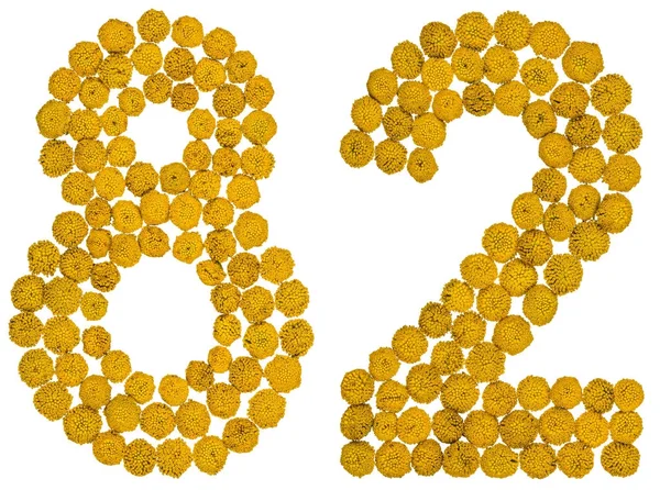 Cyfry arabskie 82, osiemdziesiąt dwa, od żółte kwiaty piżmy, iso — Zdjęcie stockowe
