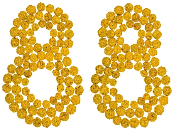 Αραβικό αριθμό 88, ογδόντα οκτώ, από τα κίτρινα άνθη του θηρανθεμίς, εγώ — Φωτογραφία Αρχείου