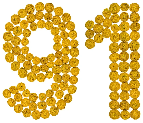 Αραβικό αριθμό 91, ενενήντα μία, κίτρινα άνθη του θηρανθεμίς, iso — Φωτογραφία Αρχείου