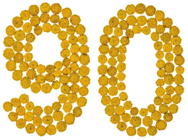 Arapça rakamı 90, 90, solucan otu, sarı çiçekleri gelen izole