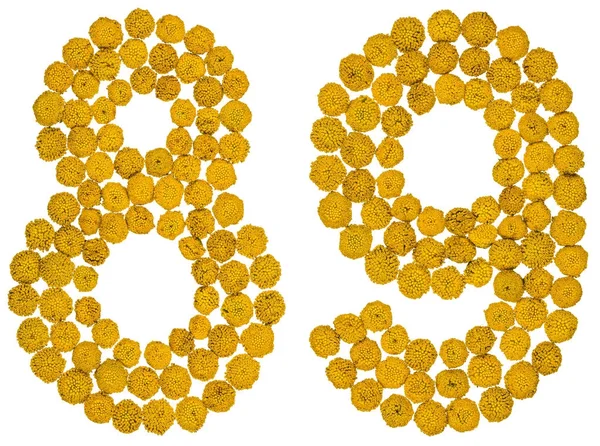 Arap rakamıdır 89, solucan otu, sarı çiçekler üzerinden seksen dokuz