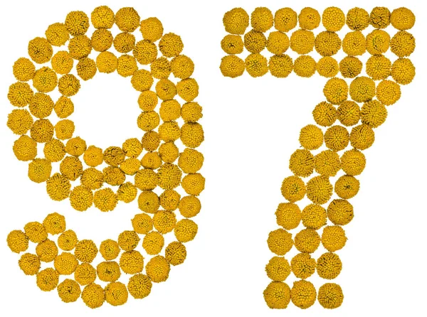 Cyfry arabskie 97, dziewięćdziesiąt siedem, z żółtych kwiatów wrotyczu, ja — Zdjęcie stockowe