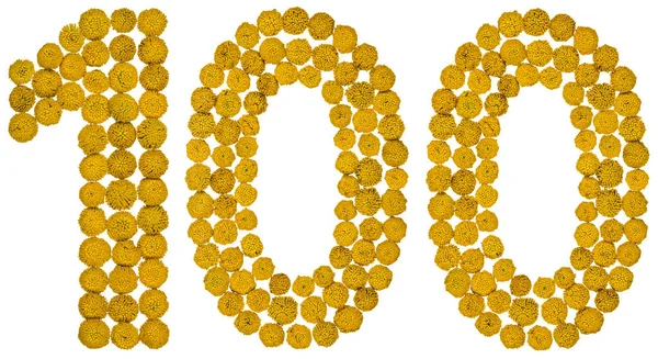 Números arábigos 100, cien, de flores amarillas de tansy, i — Foto de Stock
