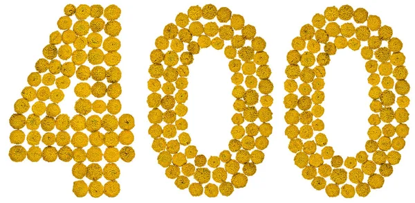 Arapça rakamı 400, dört yüz, gelen solucan otu, sarı çiçek, 
