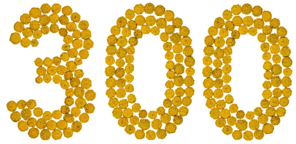 Арабская цифра 300, триста, из желтых цветов Тензи , — стоковое фото
