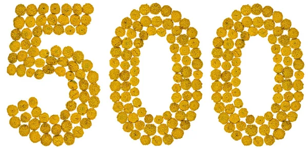 Arapça rakamı 500, 500, gelen solucan otu, sarı çiçek, 