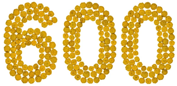 Algarismo árabe 600, seiscentos, de flores amarelas de tansy, i — Fotografia de Stock