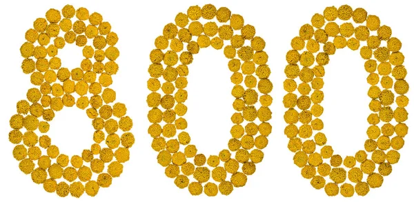 Arapça rakamı 800, sekiz yüz, gelen solucan otu, sarı çiçek,